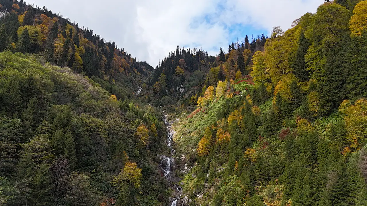 Ayder Yaylası’nda renk şöleni: Sonbahar tüm güzelliğiyle kendini gösterdi 2