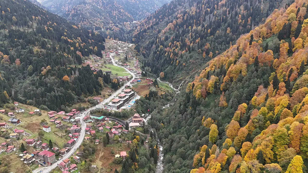 Ayder Yaylası’nda renk şöleni: Sonbahar tüm güzelliğiyle kendini gösterdi 3