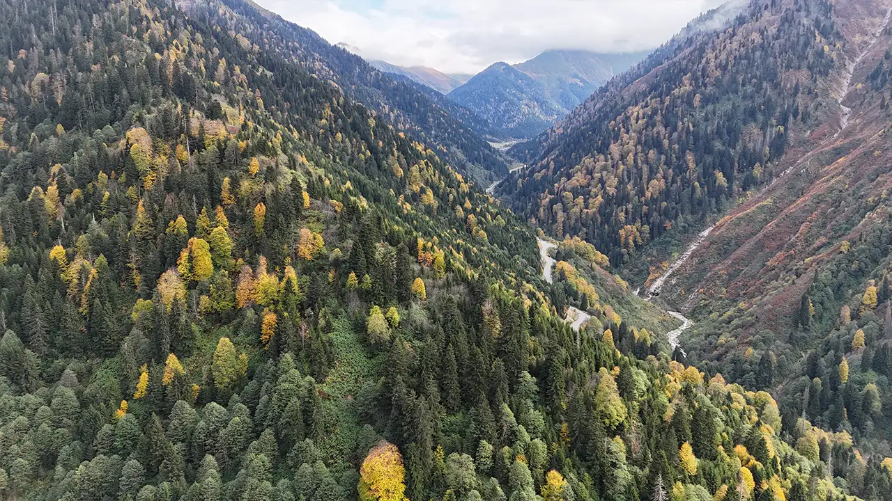 Ayder Yaylası’nda renk şöleni: Sonbahar tüm güzelliğiyle kendini gösterdi 4