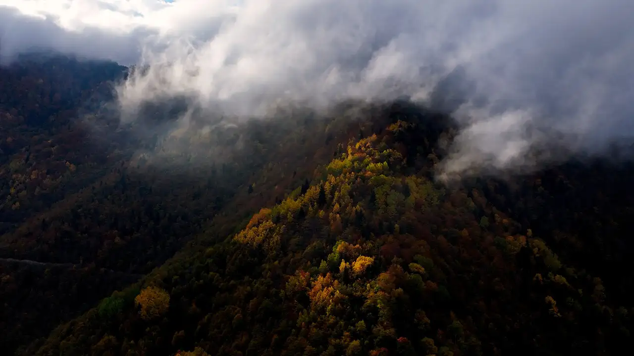 Gümüşhane’de sonbahar büyüsü: Örümcek Ormanları hayran bıraktı 4