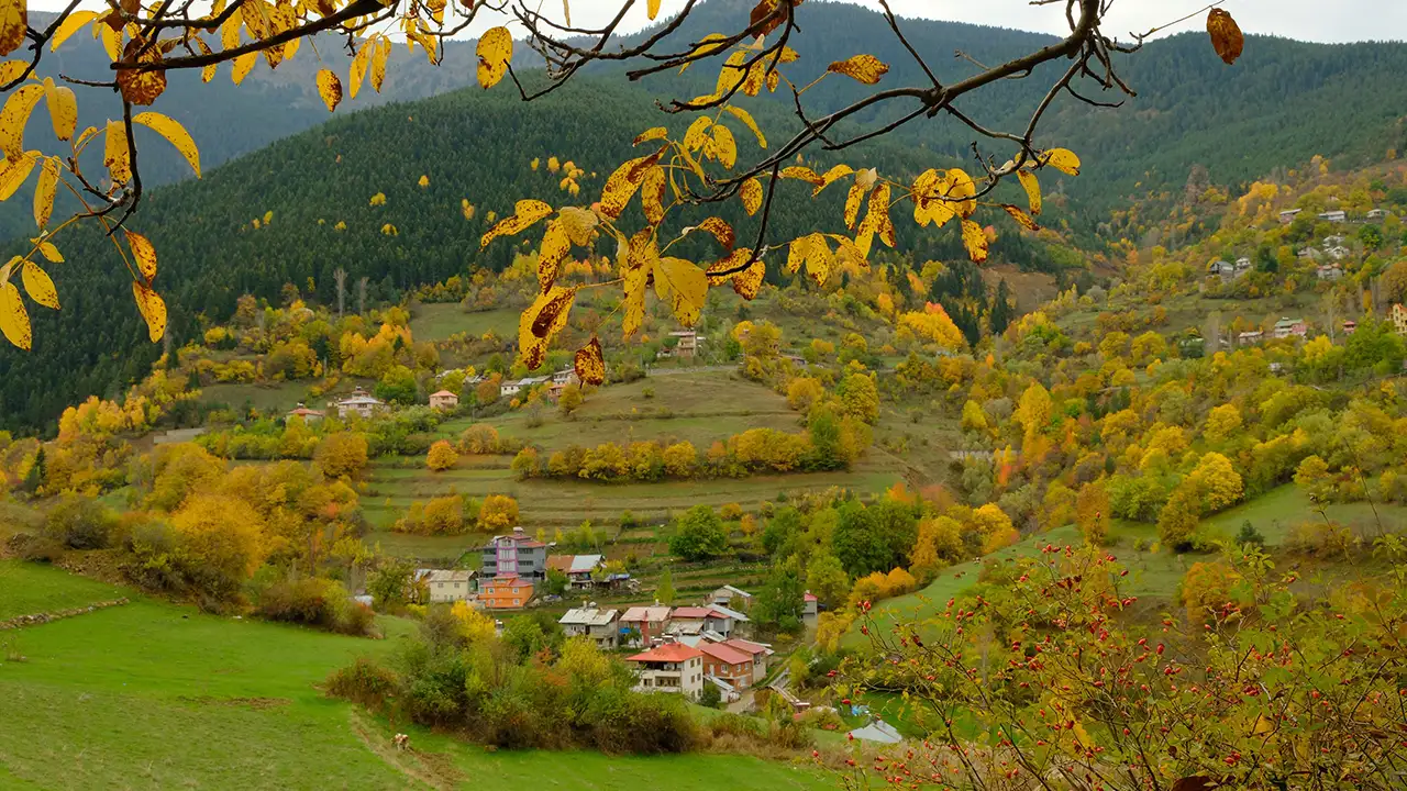 Zigana tünelini bıraktılar, tarihi yolu seçtiler: Zigana köyü sonbaharda göz kamaştırıyor 3