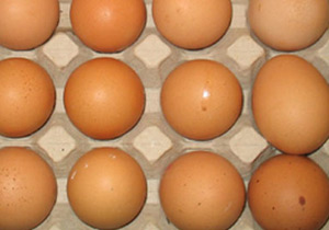 yüksek tansiyon yumurtasına sahip olmak mümkün mü