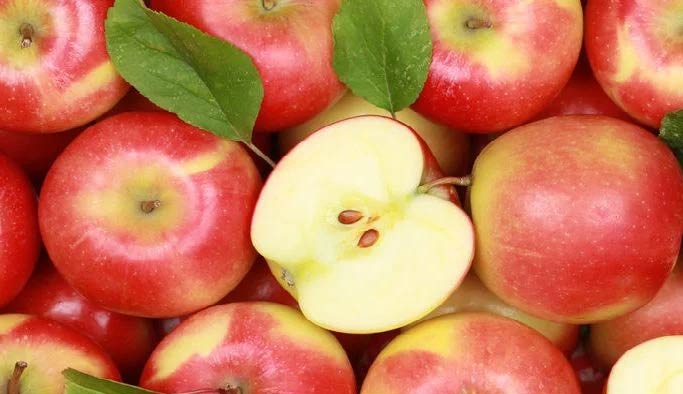 Rusya'ya ihracatta elma ve nar katkısı