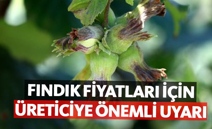 Idrar Yolu Enfeksiyonu Ilaclari Sistit Ilaci Isimleri Ve Fiyatlari