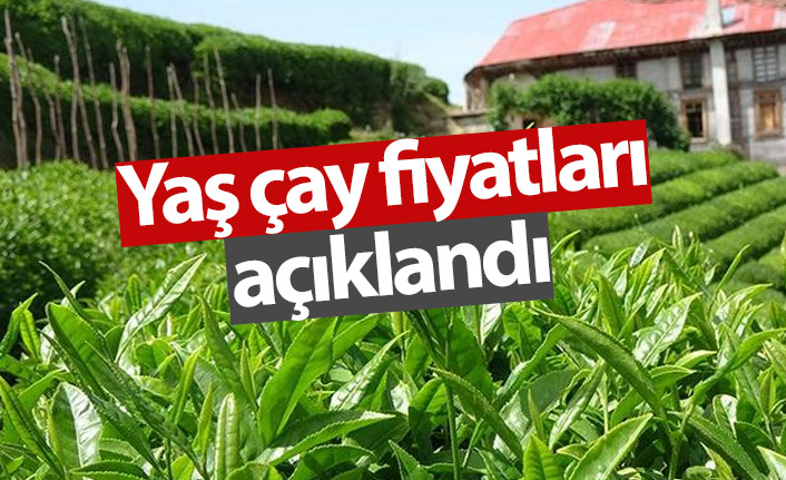 Get 15 Yas Bisiklet Fiyatlari PNG