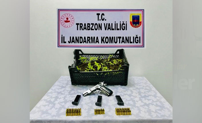 Trabzon’da istihbarat geldi, Jandarma bastı