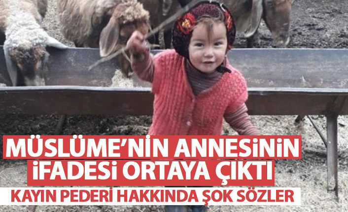 Haber Son Dakika Haberleri