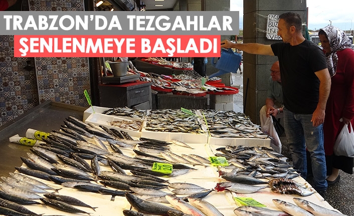 Trabzon'da balık tezgâhları şenlenmeye başladı