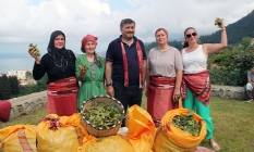 Giresun'da "fındık hasat şenliği" düzenlendi