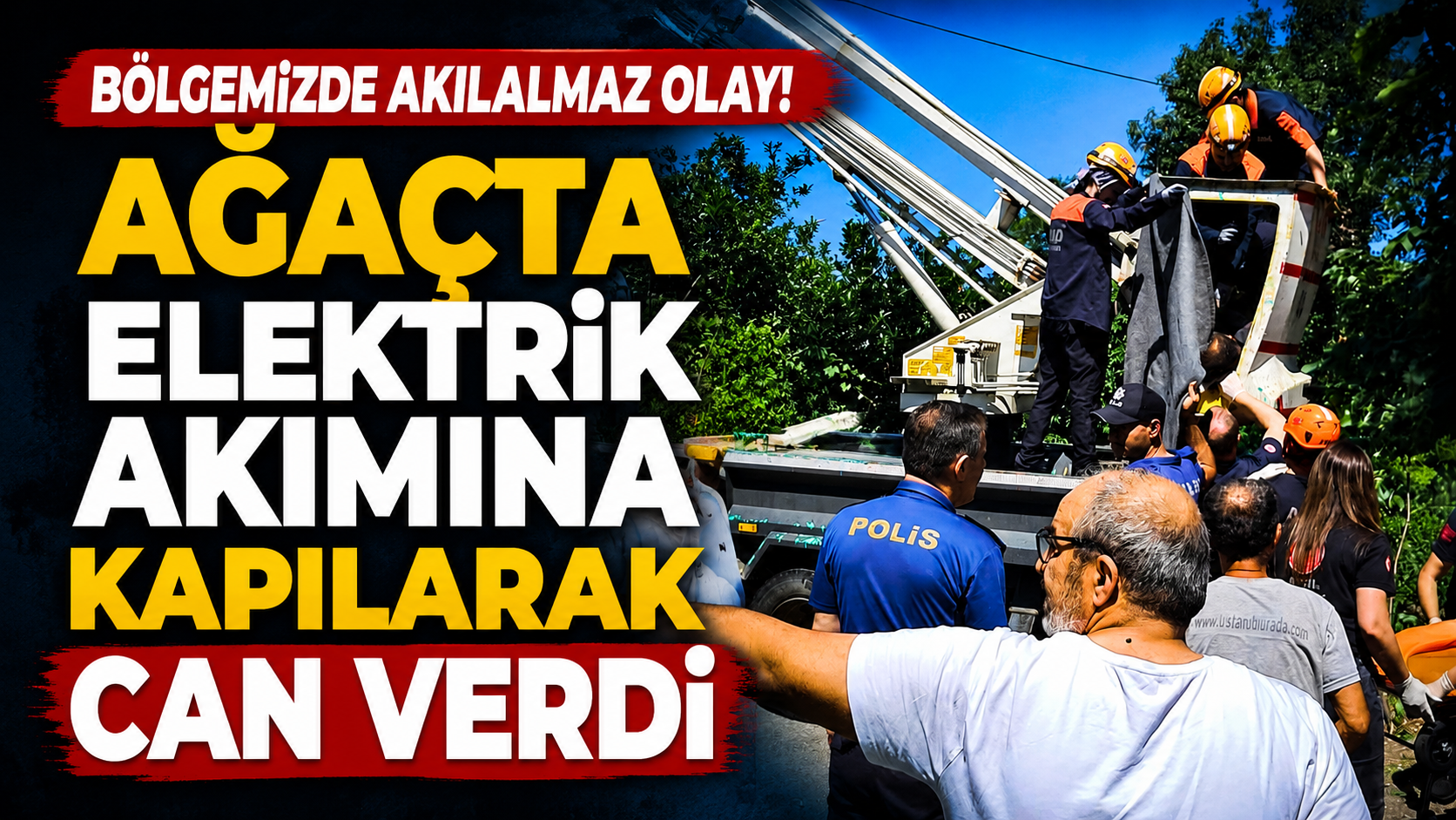 Bölgemizde akılalmaz olay! Ağaçta elektrik akımına kapılarak can verdi