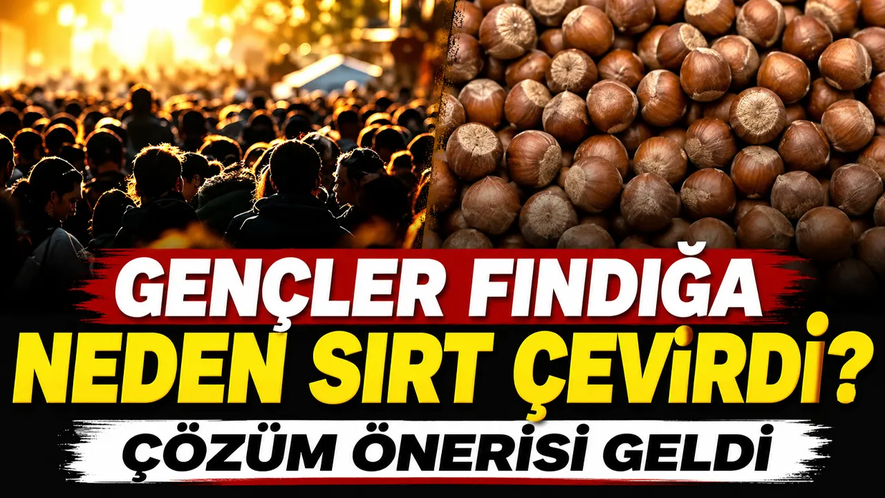 Gençler fındığa neden sırt çevirdi? Çözüm önerisi geldi