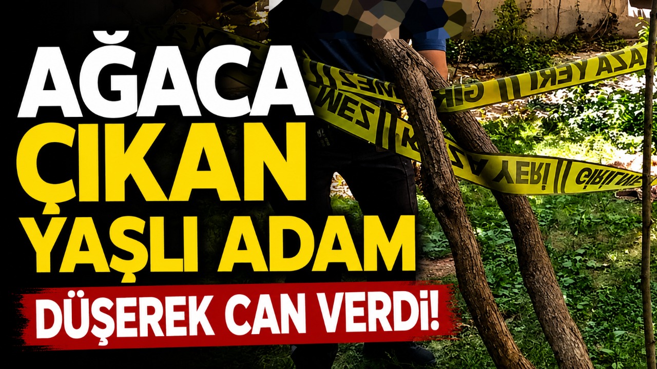 Ağaca çıkan yaşlı adam düşerek can verdi!