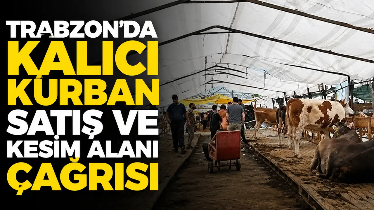 Trabzon’da kalıcı kurban satış ve kesim alanı çağrısı