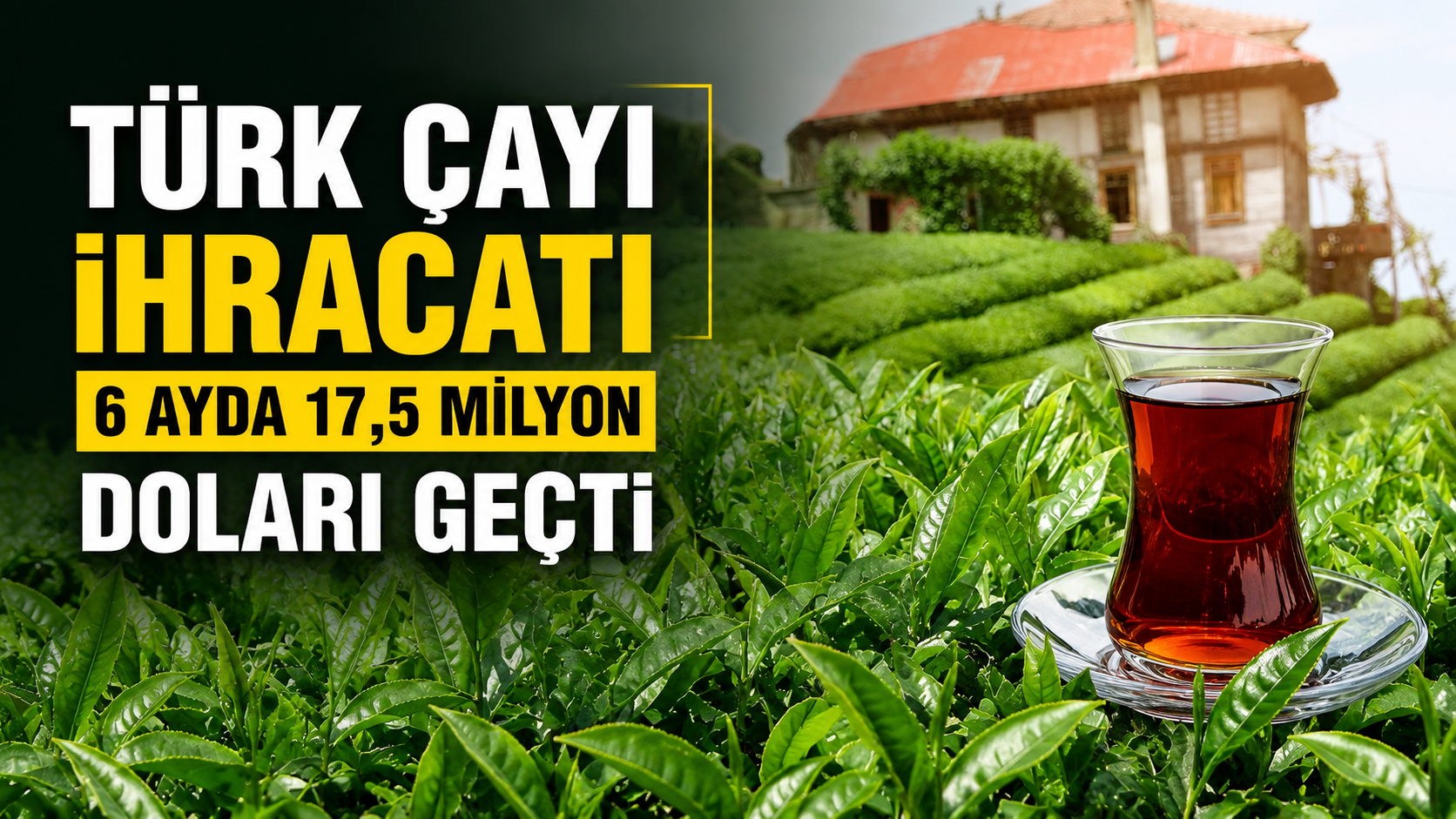Türk çayı ihracatı 6 ayda 17,5 milyon doları geçti