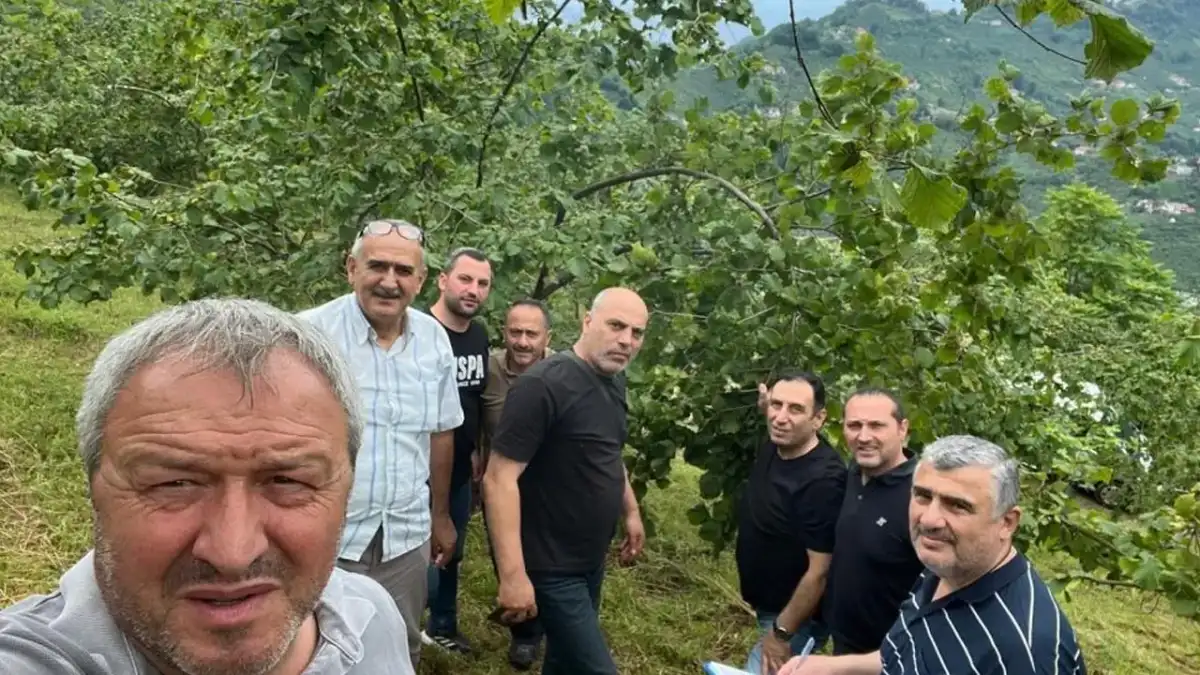 2026 fındık rekoltesi için Trabzon’da sayım mesaisi