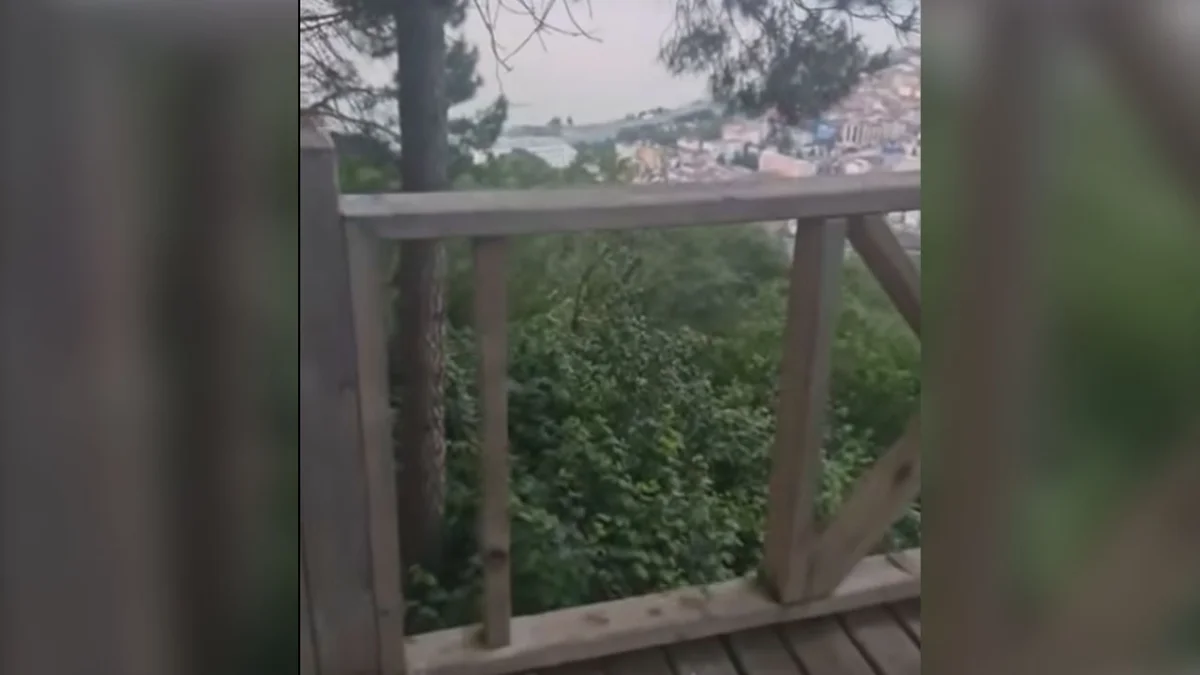 Araklı'da korkutan kaza! Seyir terasının korkulukları kırıldı, çocuk yaralandı