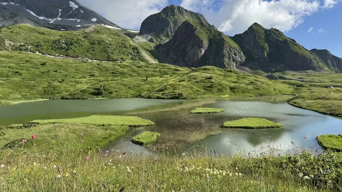 Artvin'de Arsiyan Yaylası doğaseverleri büyüleyen manzaralar sunuyor