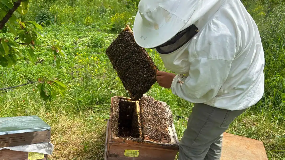 Artvin’de bal sezonu öncesi üreticilerle değerlendirme toplantısı