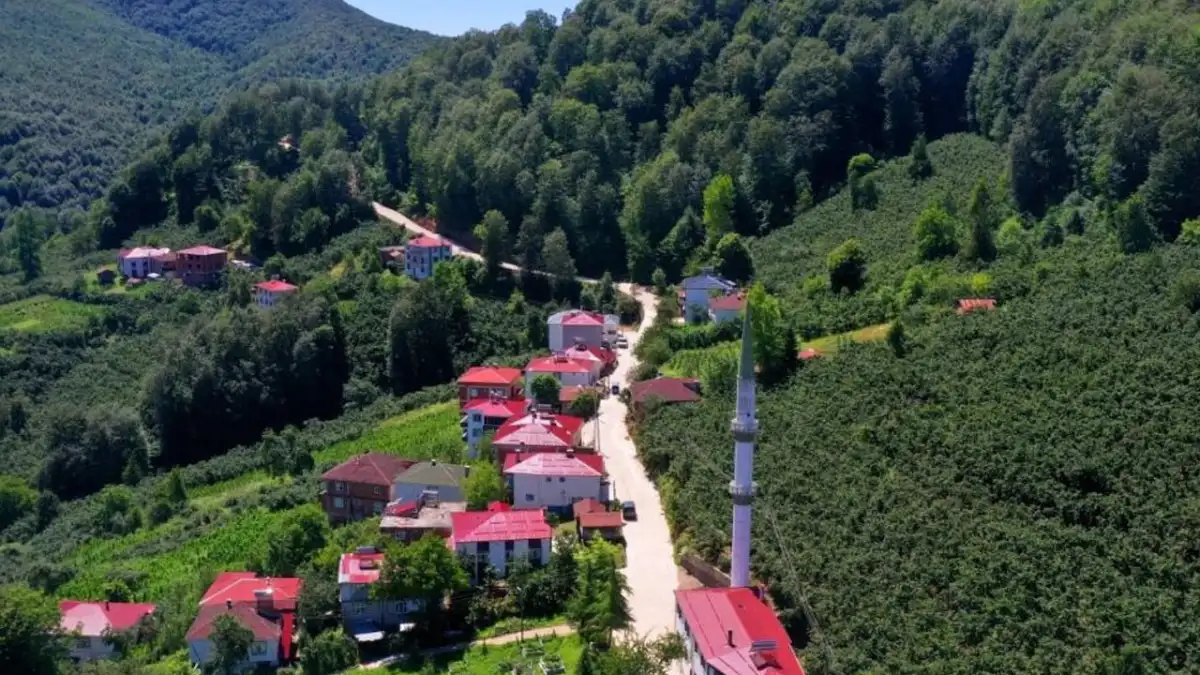 Aybastı’da 3 kilometrelik beton yolun 2 kilometresi tamamlandı