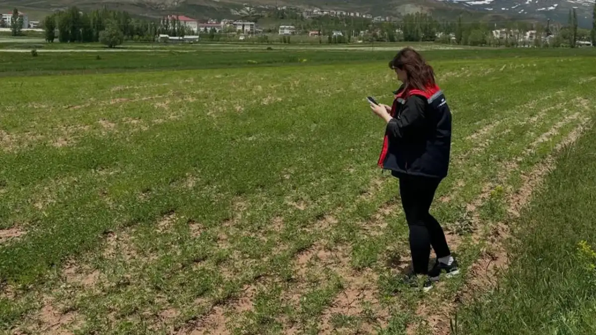 Aydıntepe'de ÇKS beyanları arazide tek tek inceleniyor