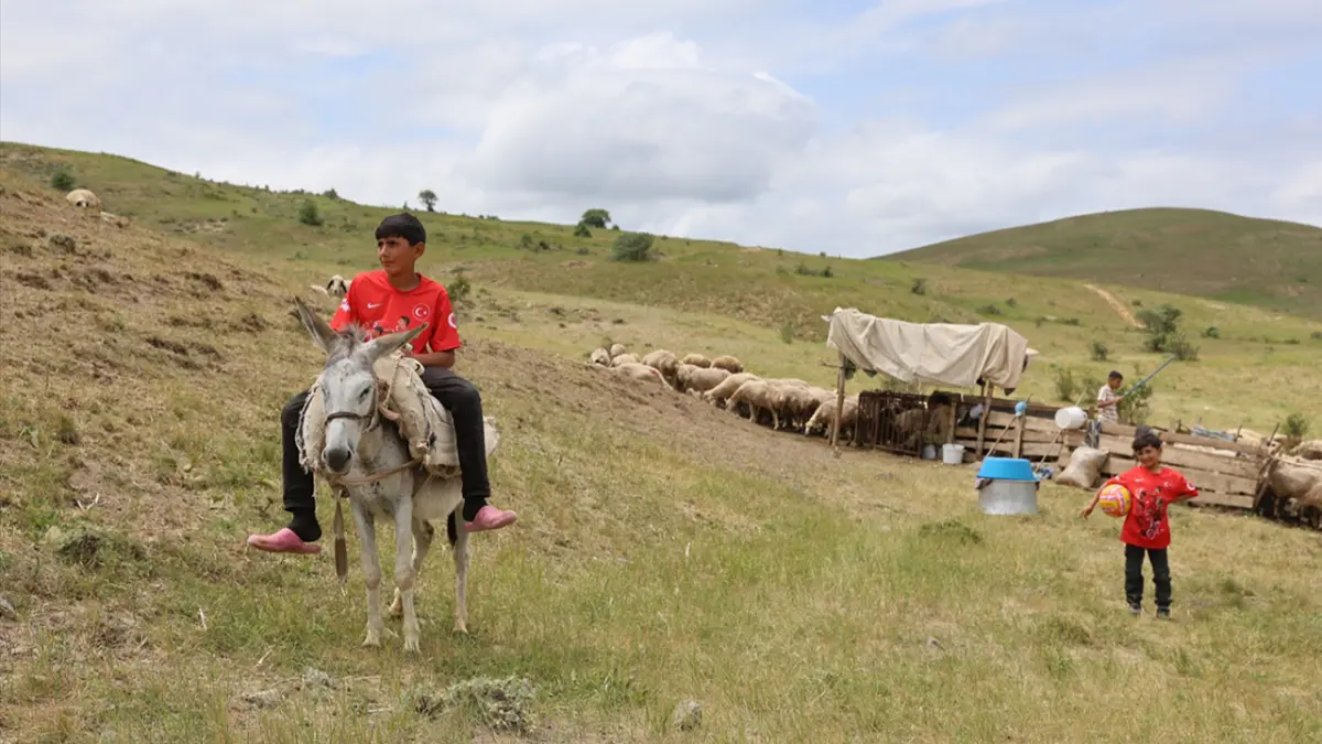 Bayburt yaylalarında tulum peyniri mesaisi! Zorlu emek sofralara lezzet oluyor