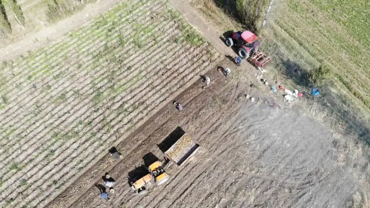 Bayburt'ta ÇKS askı listeleri yayımlandı! Üreticilere 15 günlük uyarı