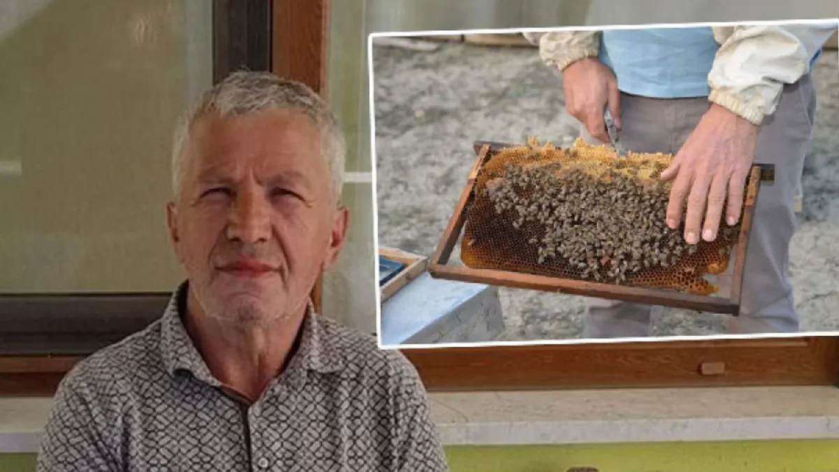 Bir anda saldırdılar!  Kendi arıları öldürdü