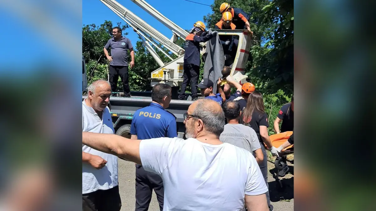 Bölgemizde akılalmaz olay! Ağaçta elektrik akımına kapılarak can verdi