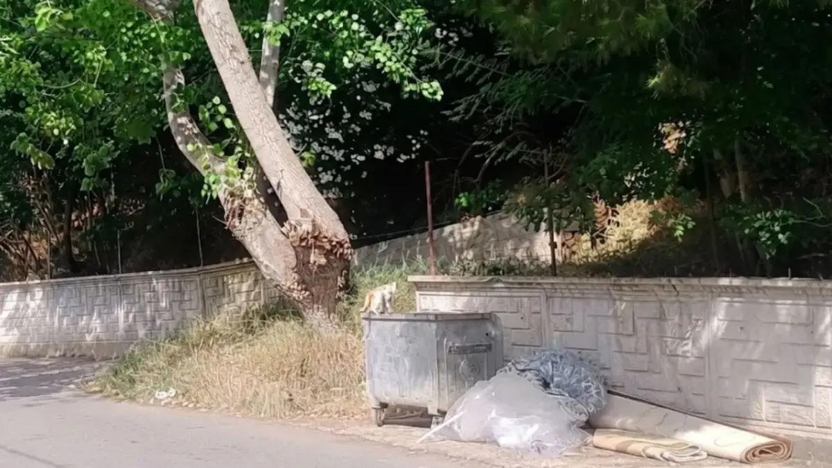 Çöp konteynerleri uyarısı!