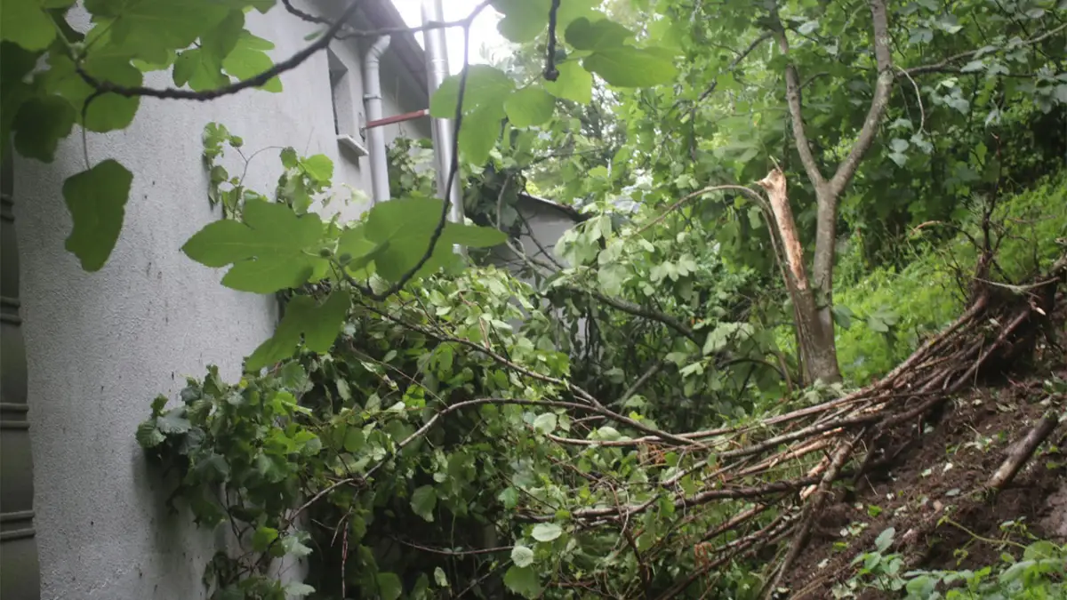 Giresun’da kaya parçası evin duvarını yıktı, facia son anda önlendi