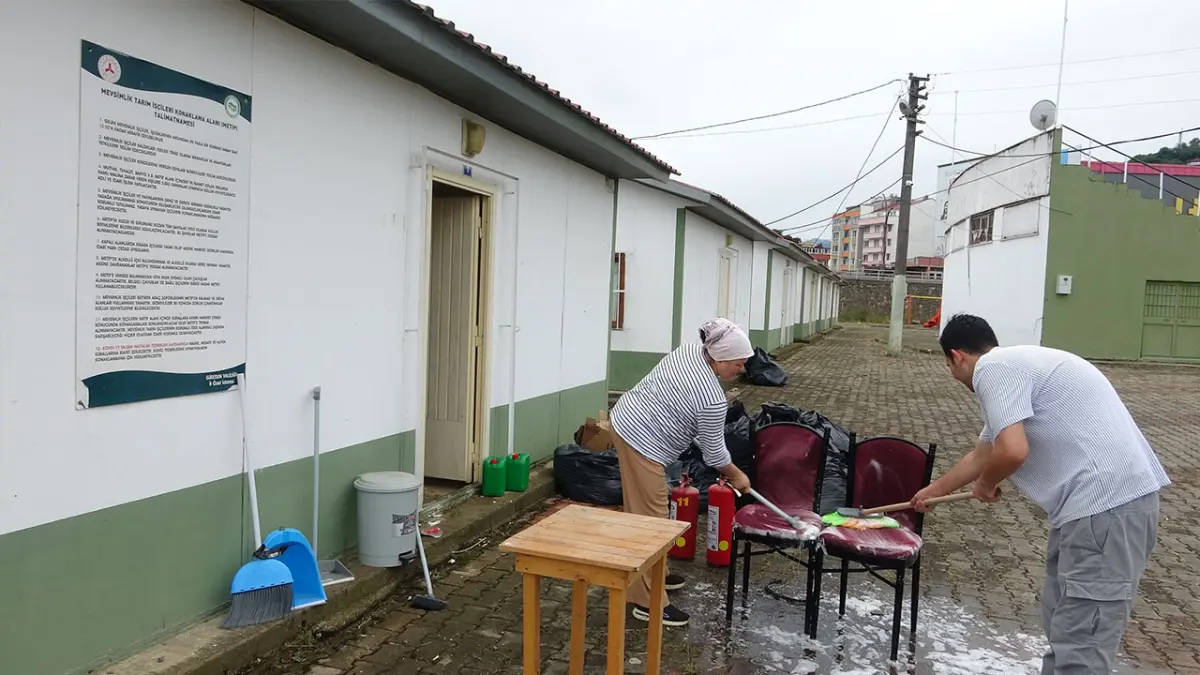 Giresun’da mevsimlik fındık işçileri için hazırlıklar başladı