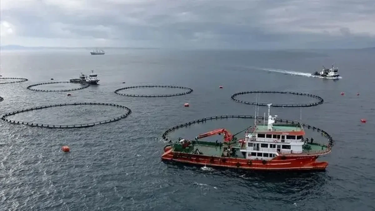 Karadeniz’in su ürünleri ihracatı 6 ayda 186 milyon doları aştı