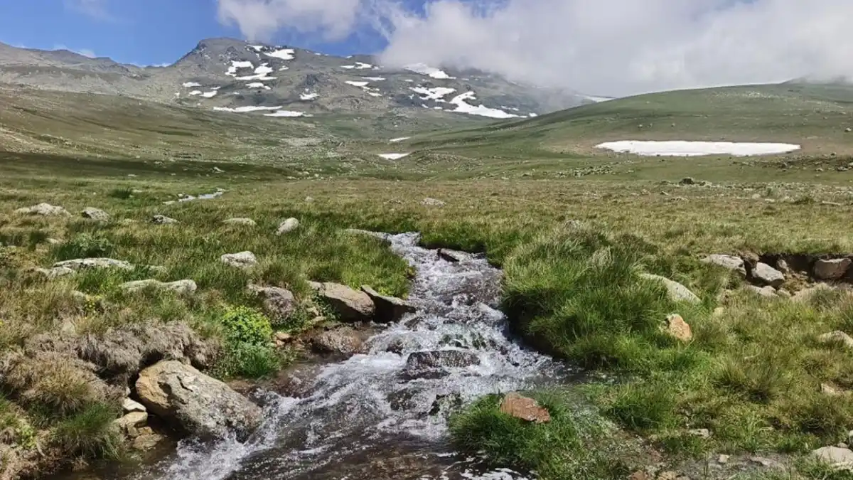 Ordu yaylalarında yaz ve kar bir arada! Kartpostallık manzaralar oluştu