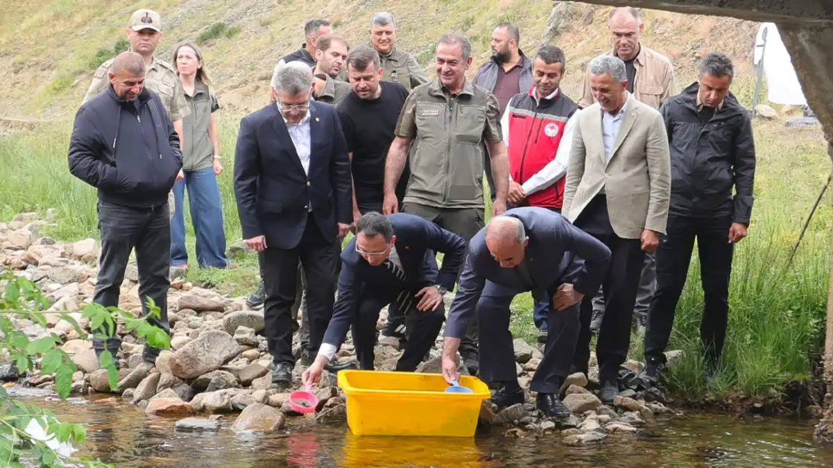 Ordu'da Çambaşı Deresi'ne 35 bin doğal alabalık bırakıldı