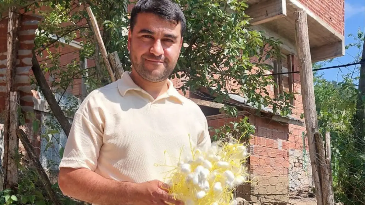Ordu'da ipek böceği üreticisinden dikkat çeken gelir hesabı