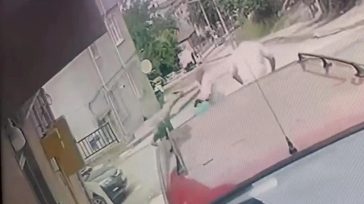 Ordu’da kardeş katliamı zanlısı polise teslim oldu