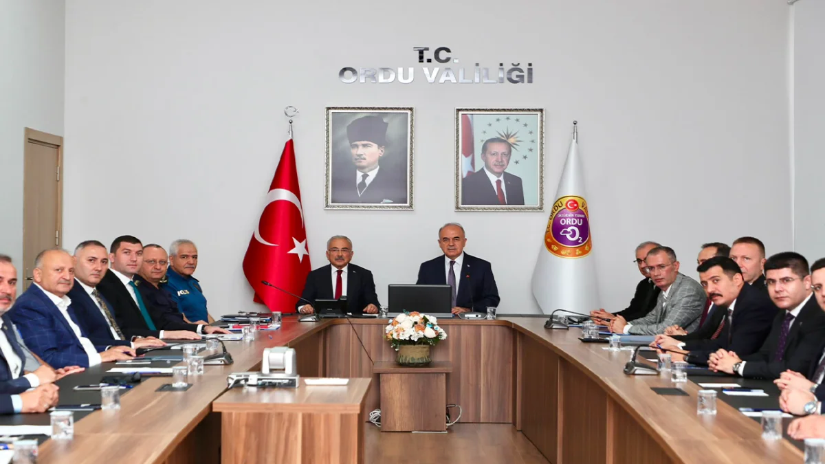 Ordu'da sahipsiz sokak hayvanları için kritik toplantı! Çalışmalar hızlanacak
