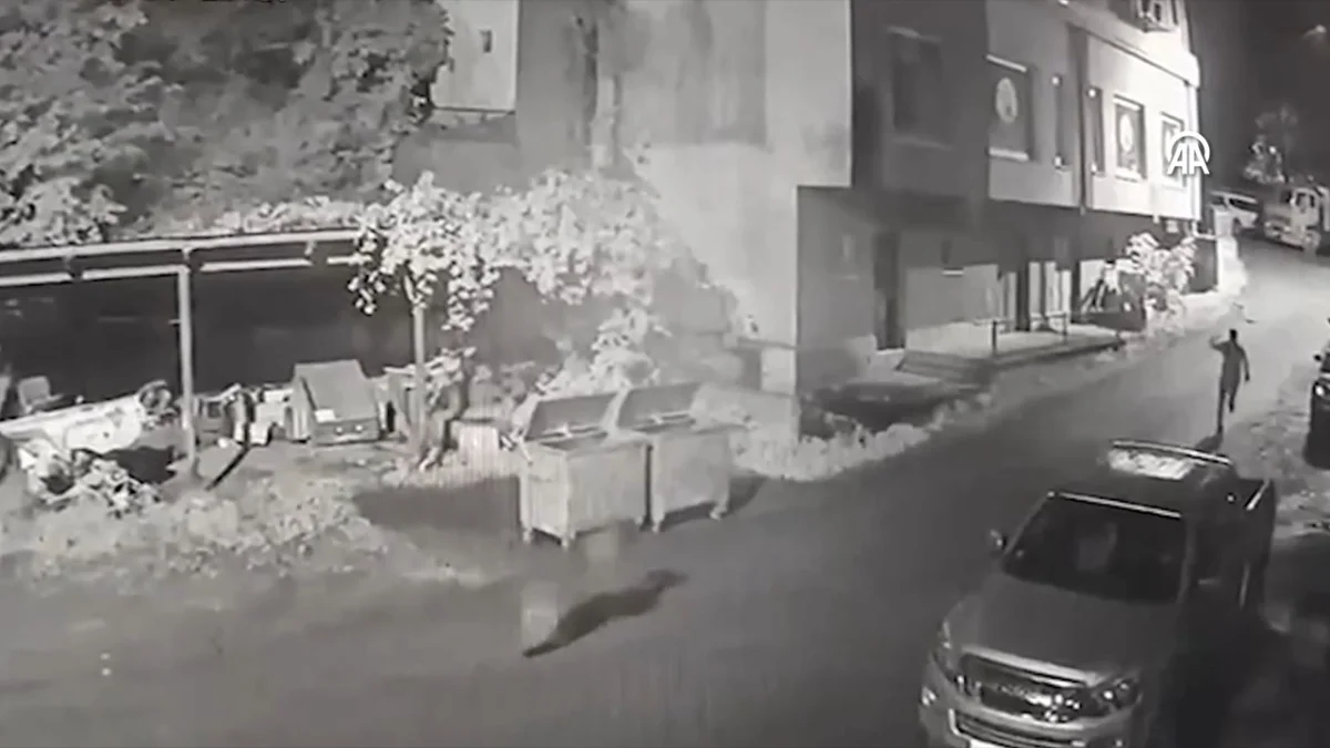 Rize'de anne ayı ve yavrularıyla karşılaşan vatandaş kamerada