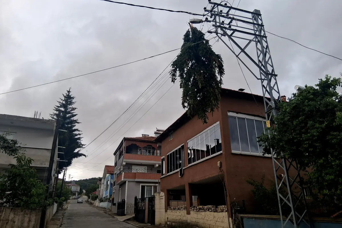 Samsun'da sağanak ve rüzgar etkili oldu