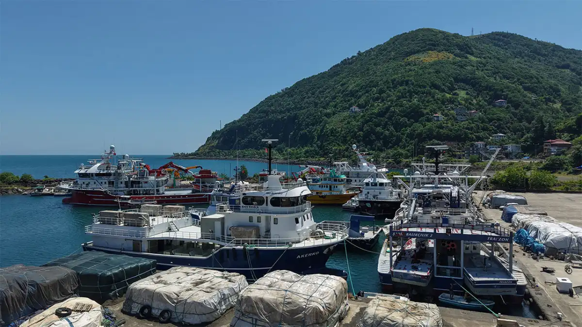 Trabzon'da balıkçılar yeni sezon hazırlığında: Gözler palamut ve hamside