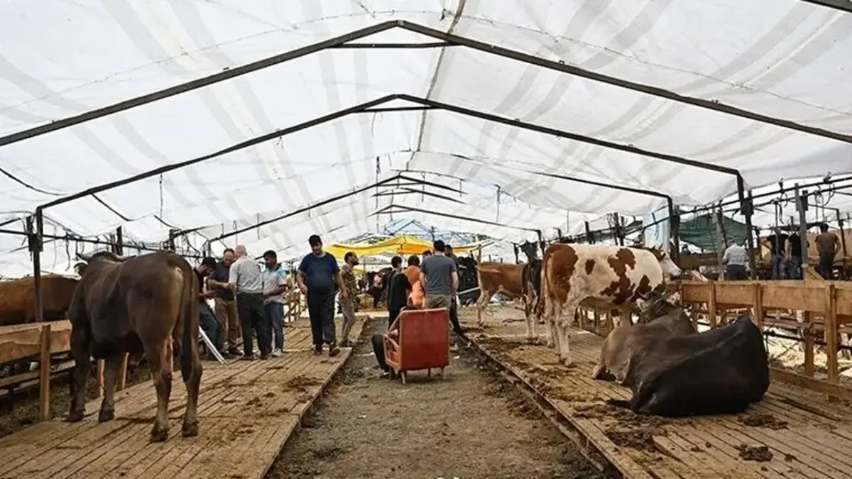 Trabzon’da kalıcı kurban satış ve kesim alanı çağrısı