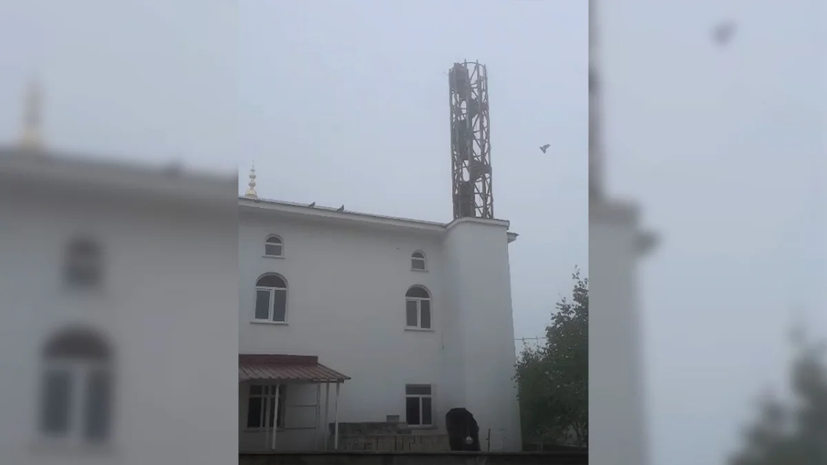 Trabzon’da minare yıkımı güvercin yavruları için ertelendi