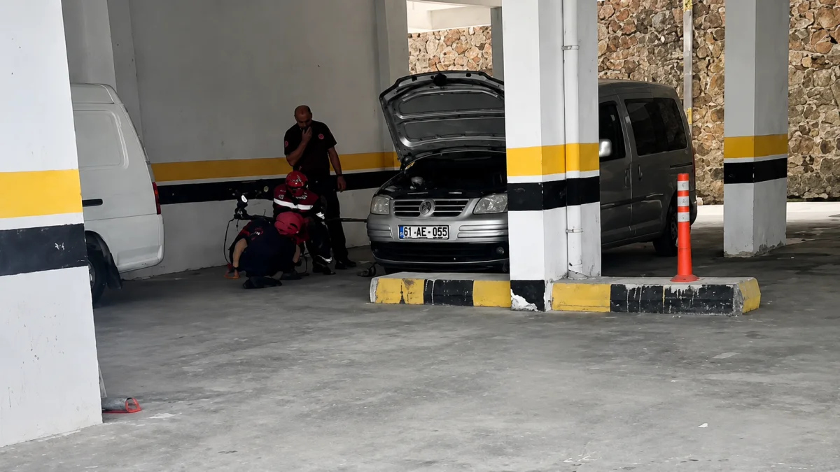 Trabzon’da park halindeki otomobilde yılan paniği yaşandı