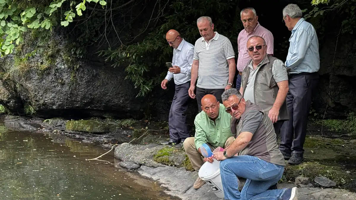 Trabzon'da üretilen alabalıklar Karadeniz derelerine bırakılıyor