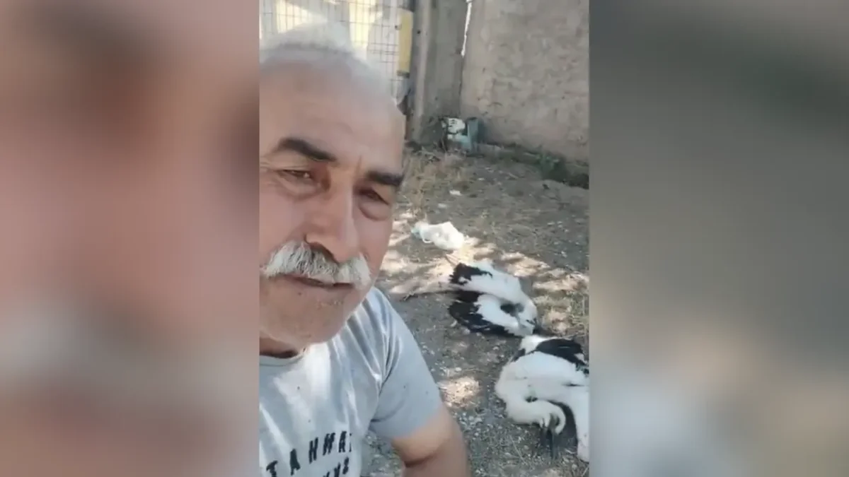 Yürek burkan olay! Bahçesindeki leyleklerin ölümüyle gözyaşlarına boğuldu