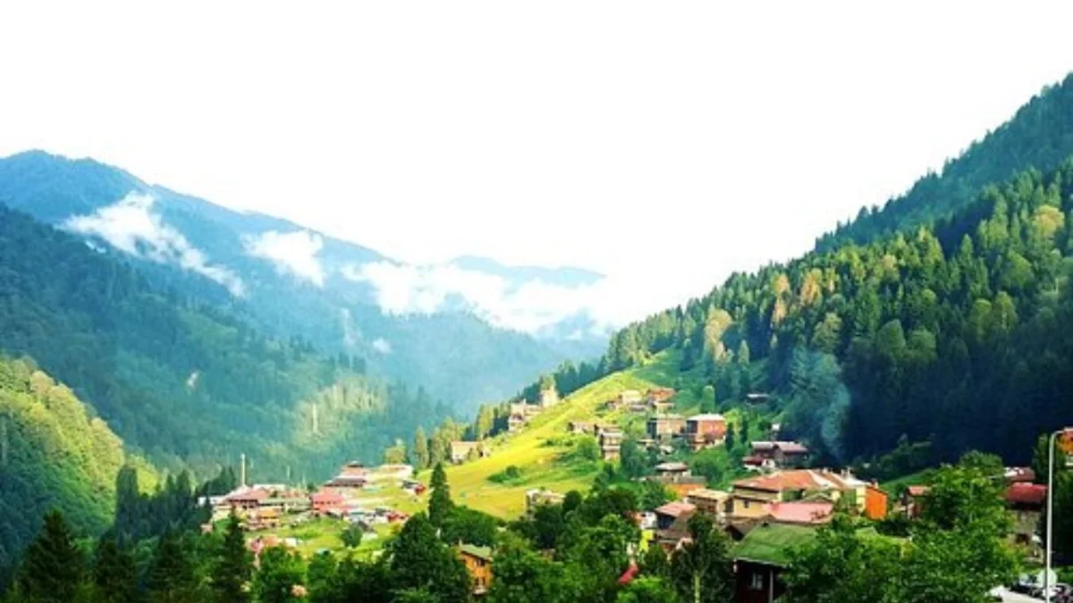 Yürüyüş kabusa döndü! Rize'de 3 kişi yaylada kayboldu