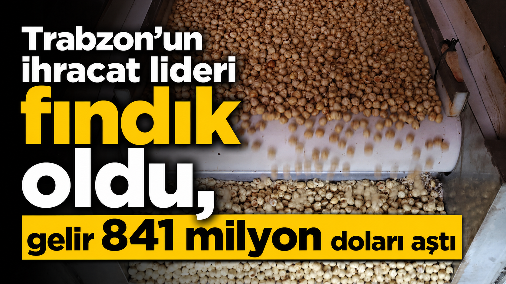 Trabzon’un ihracat lideri fındık oldu, gelir 841 milyon doları aştı