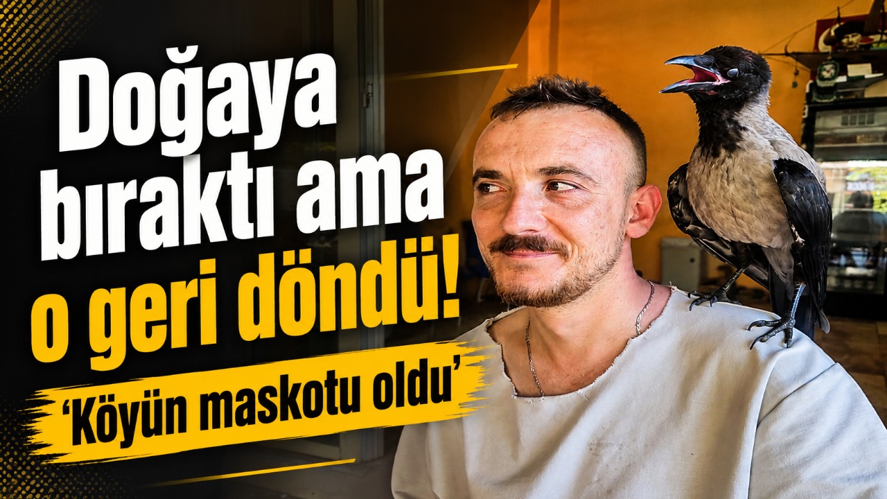 Doğaya bıraktı ama o geri döndü! 'Köyün maskotu oldu'