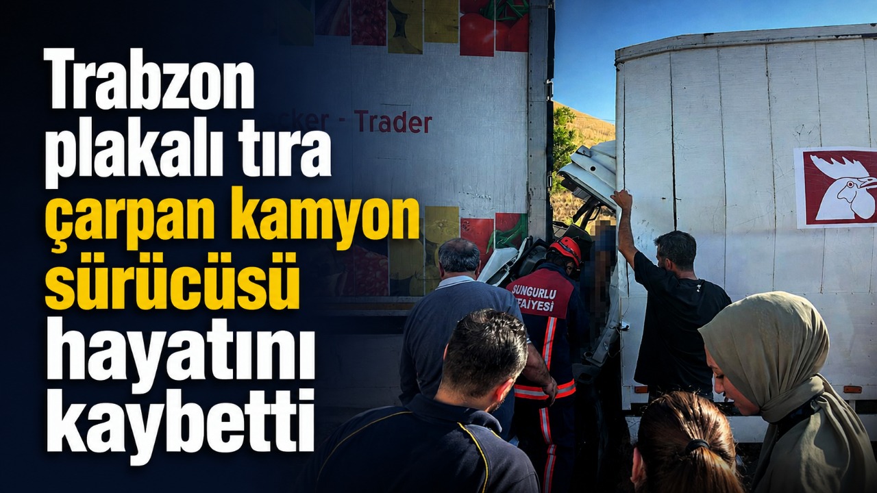 Trabzon plakalı tıra çarpan kamyon sürücüsü hayatını kaybetti