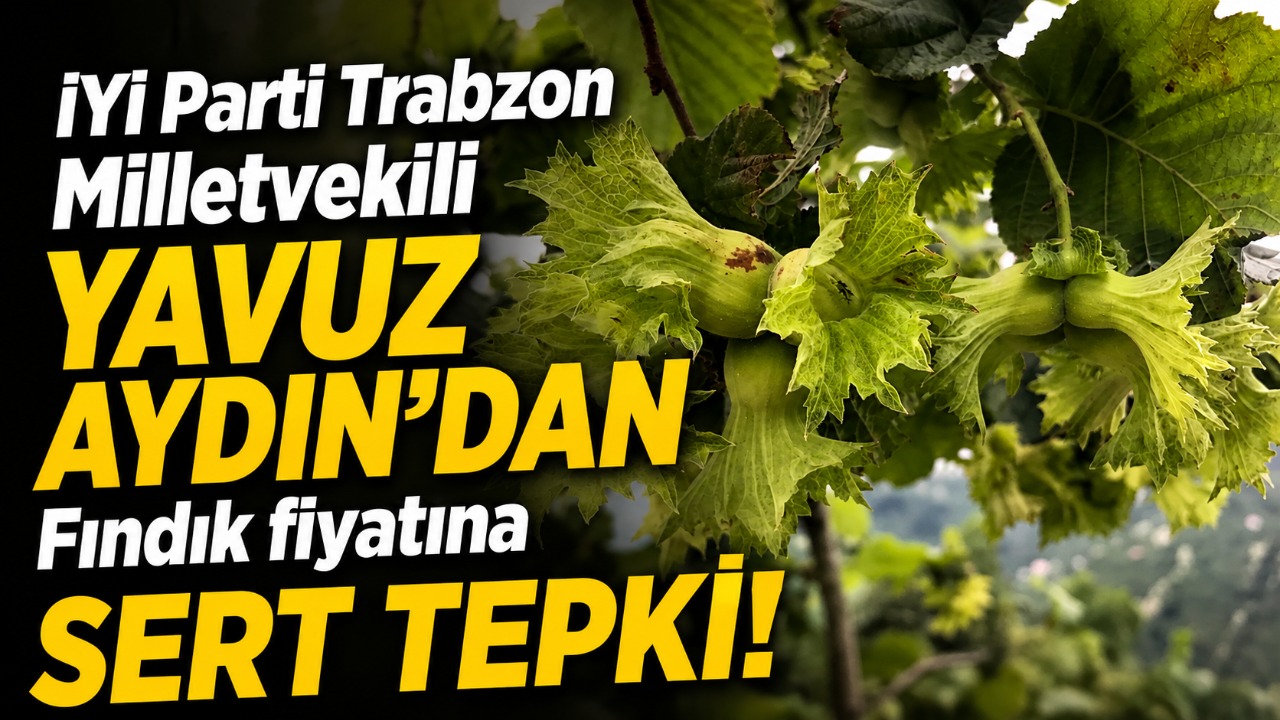 İYİ Parti Trabzon Milletvekili Yavuz Aydın’dan fındık fiyatına sert tepki